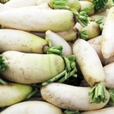 Kada kopati i kako čuvati daikon